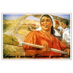 (we) Will get a rich harvest from a virgin land! 1954