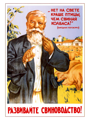 Expand pig farming! 1955