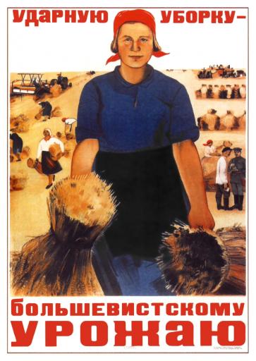 Shock  harvesting to a Bolshevik crop. 1934
