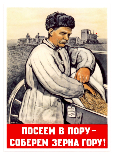 (if we) Seed at the right time - will get a mountain of grain! 1948