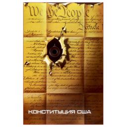 the Constitution of the USA 1981