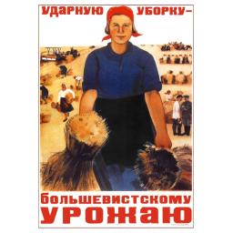 Shock  harvesting to a Bolshevik crop. 1934