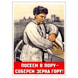 (if we) Seed at the right time - will get a mountain of grain! 1948