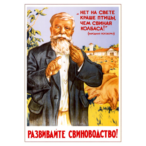 Expand pig farming! 1955