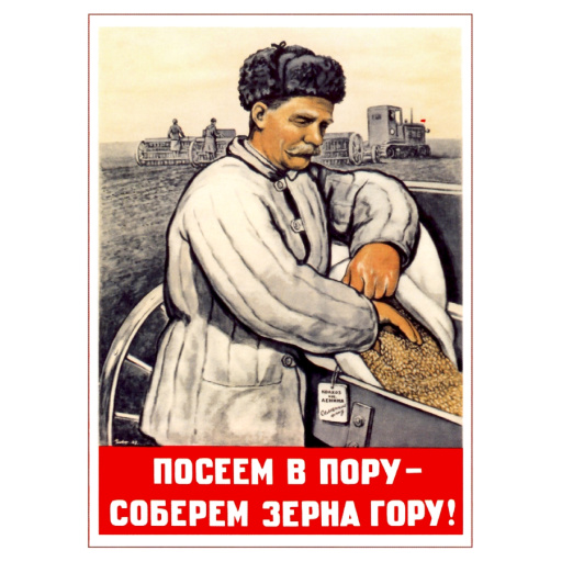 (if we) Seed at the right time - will get a mountain of grain! 1948